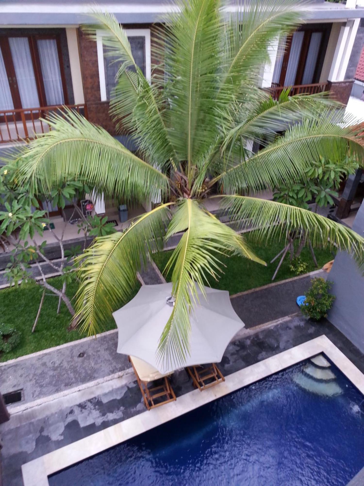 Dabumito Guest House Canggu Extérieur photo